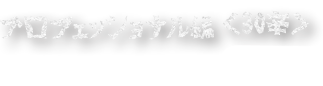 プロフェッショナル編